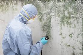 Mold Odor Removal Services in Andrews, IN